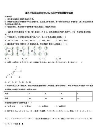 江苏沭阳县达标名校2024届中考猜题数学试卷含解析.doc