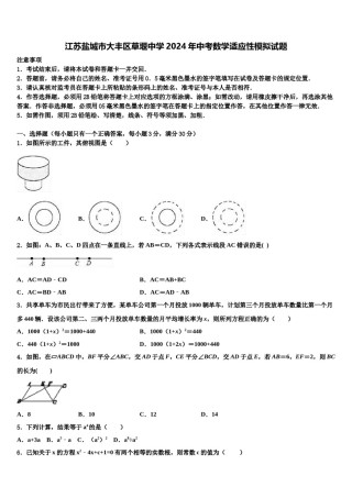 江苏盐城市大丰区草堰中学2024年中考数学适应性模拟试题含解析.doc