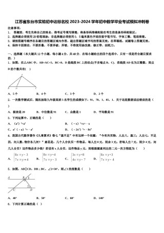 江苏省东台市实验初中达标名校2023-2024学年初中数学毕业考试模拟冲刺卷含解析.doc
