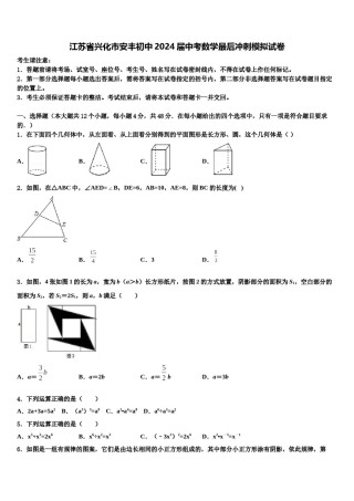 江苏省兴化市安丰初中2024届中考数学最后冲刺模拟试卷含解析.doc