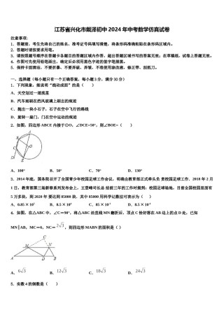 江苏省兴化市戴泽初中2024年中考数学仿真试卷含解析.doc