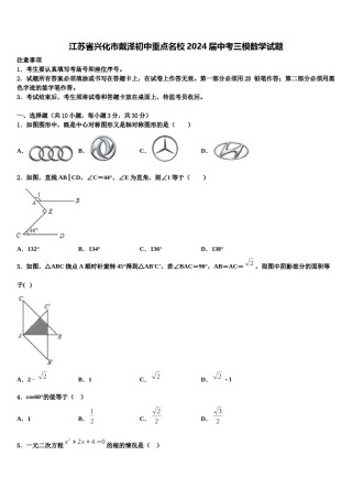 江苏省兴化市戴泽初中重点名校2024届中考三模数学试题含解析.doc