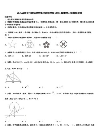 江苏省南京市南师附中集团新城中学2024届中考五模数学试题含解析.doc