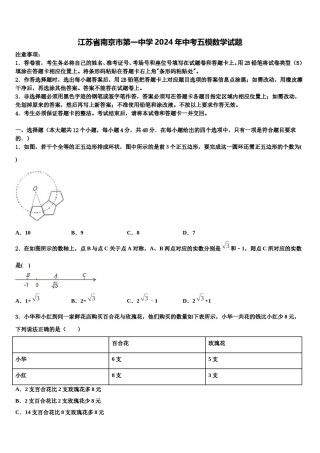 江苏省南京市第一中学2024年中考五模数学试题含解析.doc