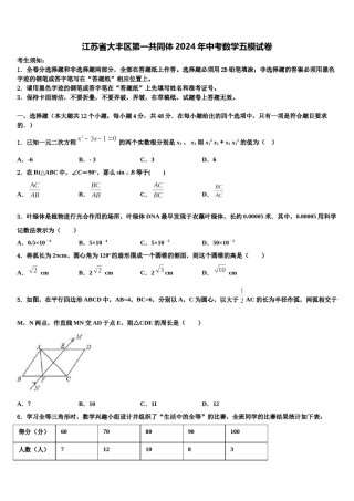 江苏省大丰区第一共同体2024年中考数学五模试卷含解析.doc