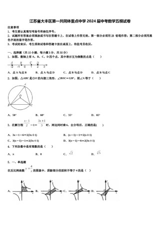 江苏省大丰区第一共同体重点中学2024届中考数学五模试卷含解析.doc