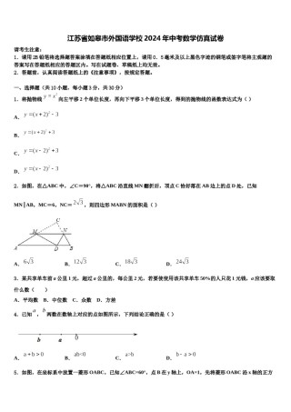 江苏省如皋市外国语学校2024年中考数学仿真试卷含解析.doc