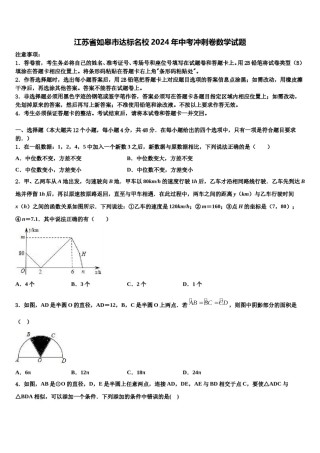 江苏省如皋市达标名校2024年中考冲刺卷数学试题含解析.doc