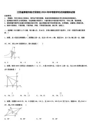 江苏省姜堰市励才实验校2024年中考数学对点突破模拟试卷含解析.doc