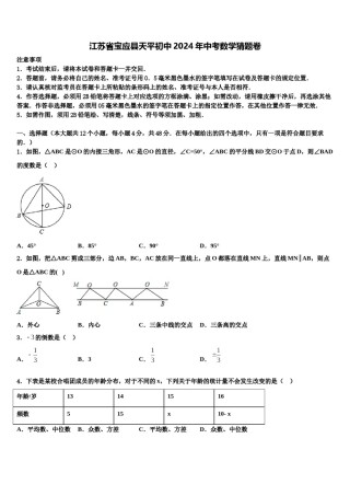 江苏省宝应县天平初中2024年中考数学猜题卷含解析.doc