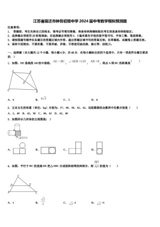 江苏省宿迁市钟吾初级中学2024届中考数学模拟预测题含解析.doc