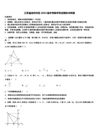 江苏省徐州市区2024届中考数学考试模拟冲刺卷含解析.doc