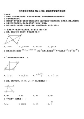 江苏省徐州市沛县2023-2024学年中考数学五模试卷含解析.doc