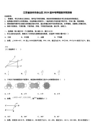 江苏省徐州市泉山区2024届中考押题数学预测卷含解析.doc