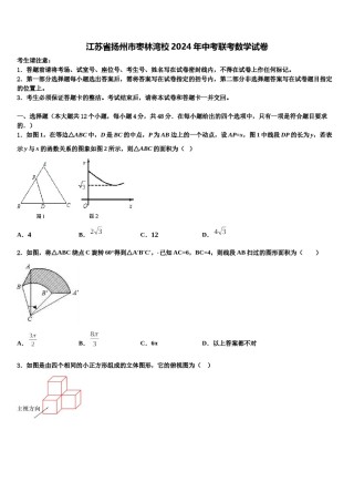 江苏省扬州市枣林湾校2024年中考联考数学试卷含解析.doc