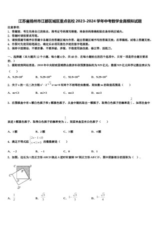 江苏省扬州市江都区城区重点名校2023-2024学年中考数学全真模拟试题含解析.doc