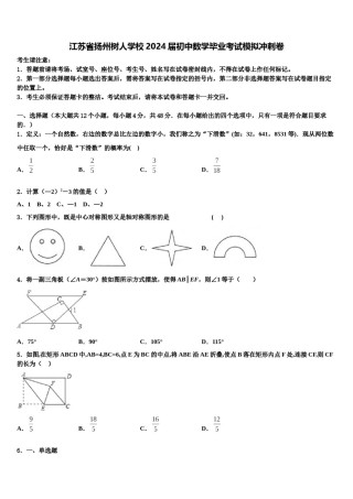 江苏省扬州树人学校2024届初中数学毕业考试模拟冲刺卷含解析.doc