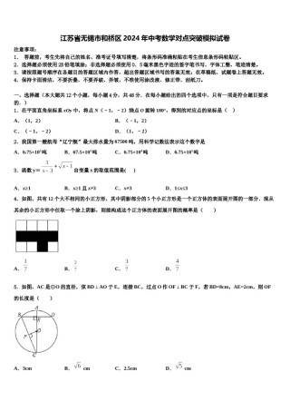 江苏省无锡市和桥区2024年中考数学对点突破模拟试卷含解析.doc