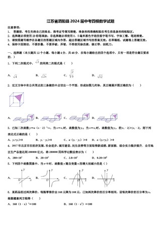 江苏省泗阳县2024届中考四模数学试题含解析.doc