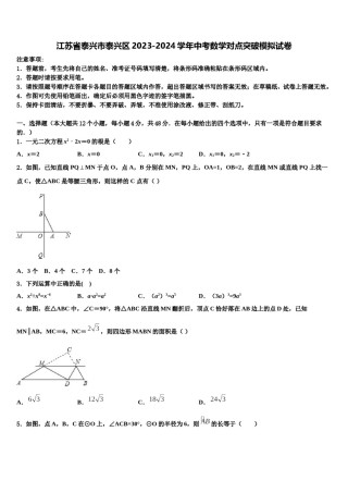 江苏省泰兴市泰兴区2023-2024学年中考数学对点突破模拟试卷含解析.doc