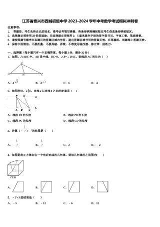 江苏省泰兴市西城初级中学2023-2024学年中考数学考试模拟冲刺卷含解析.doc