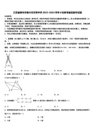 江苏省泰州市泰兴市洋思中学2023-2024学年十校联考最后数学试题含解析.doc