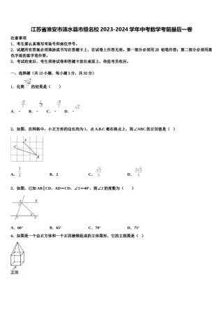 江苏省淮安市涟水县市级名校2023-2024学年中考数学考前最后一卷含解析.doc