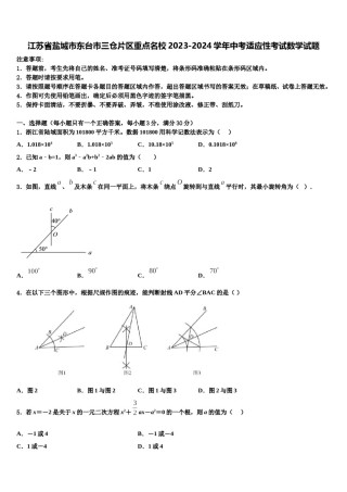 江苏省盐城市东台市三仓片区重点名校2023-2024学年中考适应性考试数学试题含解析.doc