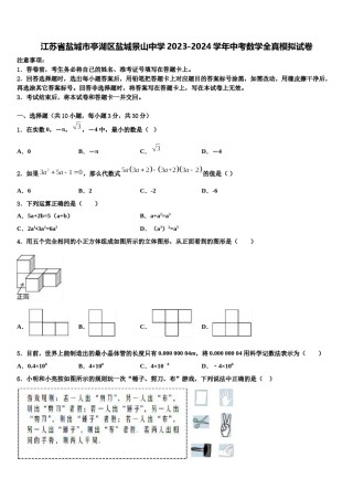 江苏省盐城市亭湖区盐城景山中学2023-2024学年中考数学全真模拟试卷含解析.doc