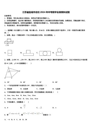 江苏省盐城市名校2024年中考数学全真模拟试题含解析.doc