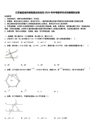 江苏省盐城市射阳县达标名校2024年中考数学对点突破模拟试卷含解析.doc