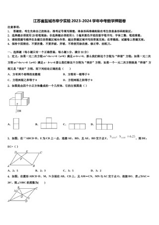 江苏省盐城市阜宁实验2023-2024学年中考数学押题卷含解析.doc