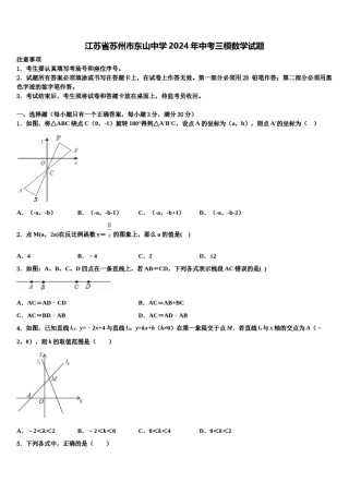 江苏省苏州市东山中学2024年中考三模数学试题含解析.doc