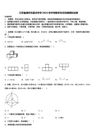 江苏省通州市重点中学2024年中考数学对点突破模拟试卷含解析.doc