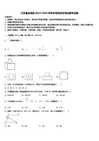 江苏省金湖县2023-2024学年中考适应性考试数学试题含解析.doc