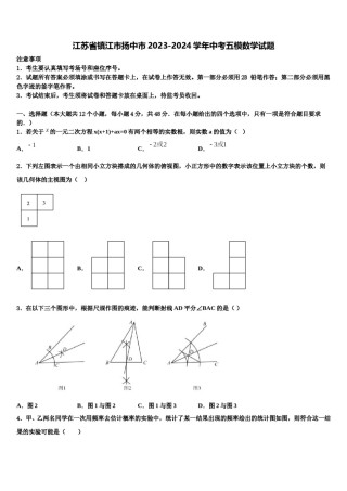 江苏省镇江市扬中市2023-2024学年中考五模数学试题含解析.doc