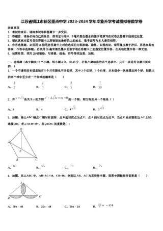 江苏省镇江市新区重点中学2023-2024学年毕业升学考试模拟卷数学卷含解析.doc