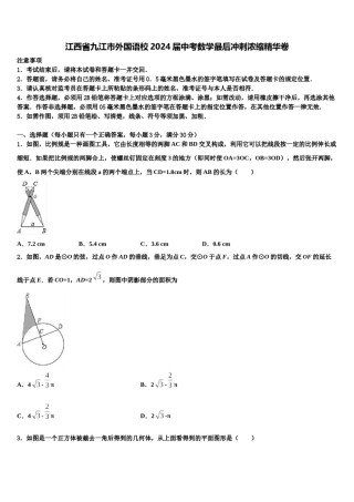 江西省九江市外国语校2024届中考数学最后冲刺浓缩精华卷含解析.doc