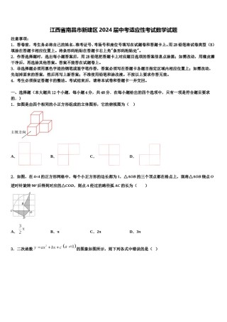 江西省南昌市新建区2024届中考适应性考试数学试题含解析.doc