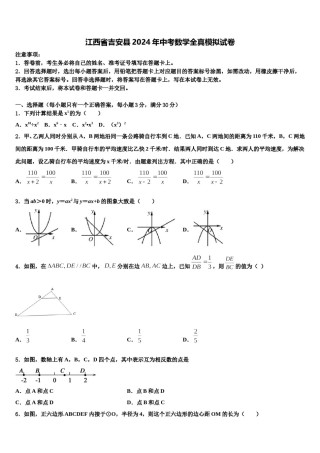 江西省吉安县2024年中考数学全真模拟试卷含解析.doc