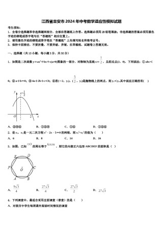 江西省吉安市2024年中考数学适应性模拟试题含解析.doc