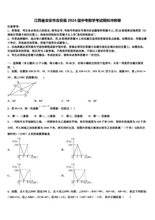 江西省吉安市吉安县2024届中考数学考试模拟冲刺卷含解析.doc
