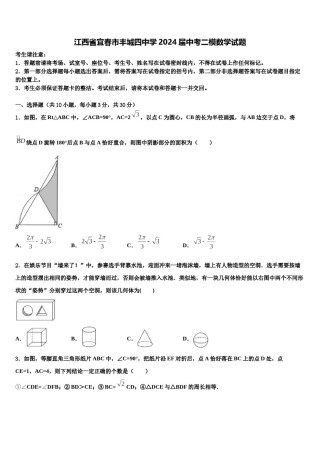 江西省宜春市丰城四中学2024届中考二模数学试题含解析.doc