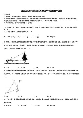 江西省抚州市金溪县2024届中考二模数学试题含解析.doc