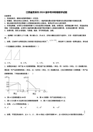 江西省贵溪市2024届中考冲刺卷数学试题含解析.doc
