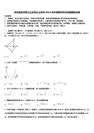 河北武安市西土山乡西土山中学2024年中考数学对点突破模拟试卷含解析.doc