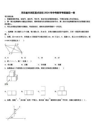 河北省丰润区重点名校2024年中考数学考前最后一卷含解析.doc