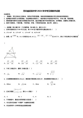 河北省武邑中学2024年中考五模数学试题含解析.doc