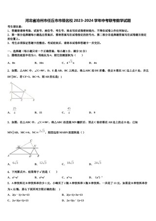 河北省沧州市任丘市市级名校2023-2024学年中考联考数学试题含解析.doc