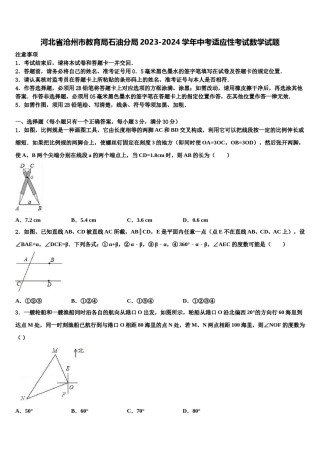 河北省沧州市教育局石油分局2023-2024学年中考适应性考试数学试题含解析.doc